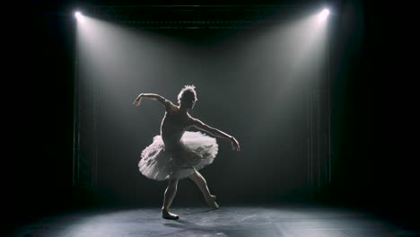 classical ballet choreography perfoming by young b 4k 2025 08 05 00 29 10 utc.mov | art, background, ballerina, ballet