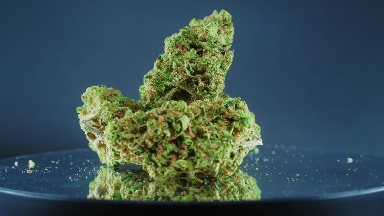 Grayish Green Dried Marijuana Buds - Close Up concept Shot, pile of dried marijuana plants, orange trichomes strains, on a reflecting rotating stand, studio lights, slow motion, 4K video