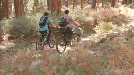 Pareja-Masculina-E-Hija-En-Un-Pasado-En-Bicicleta-Por-El-Bosque,-Vista-Posterior