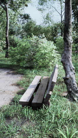 wooden bench in a park or forest