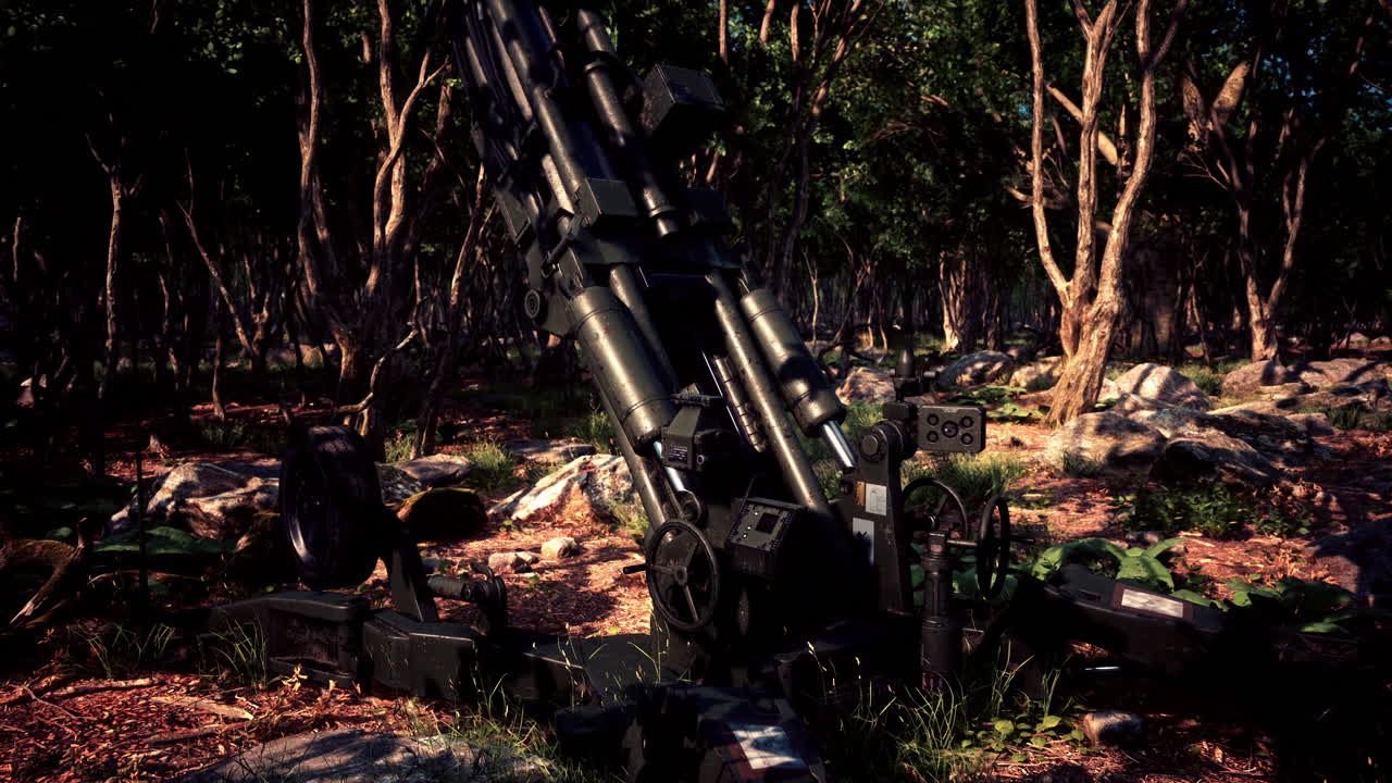 숲 속의 큰 대포