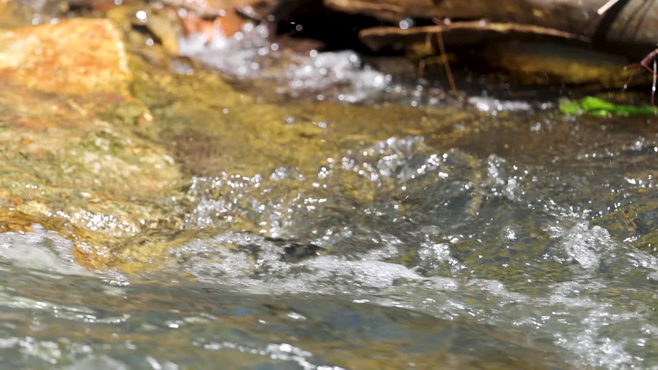 Sunlit close-up of clear creek water rushing over mossy rocks in natural daylight