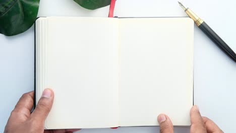 open notebook with pen and leaves