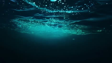 underwater bioluminescence