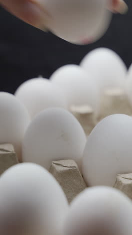eggs are getting put into carton tray. crates of fresh eggs at a poultry farm. vertical video