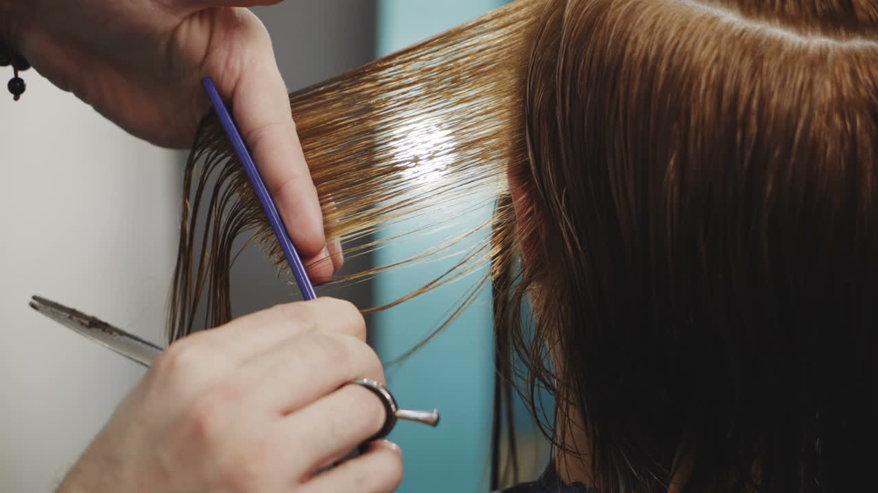 Women's haircut. Beautiful woman getting haircut by hairdresser in the beauty salon.