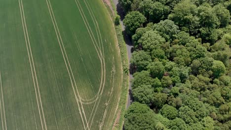 aerial view over cyclist riding country lanes wombwell woods barnsley