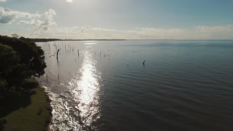 Mischung-Aus-Dschungel,-Himmel-Und-Fluss-Entlang-Des-Herrlichen-Paraná-Flusses