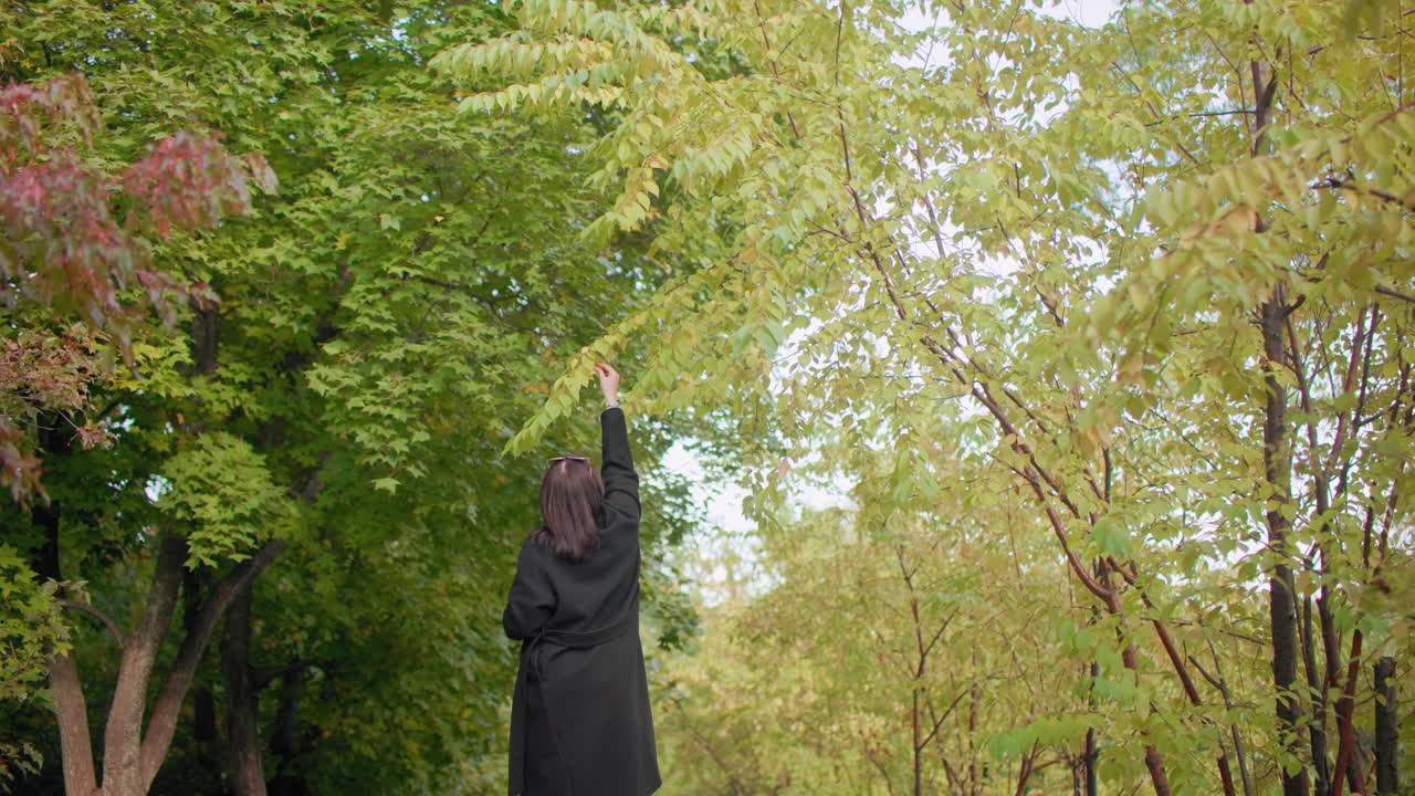 울창한 숲의 덮개 아래에서 공원을 걷는 사람의 뒷모습, 낮은 가지를 향해 손을 뻗어 가을 낙엽을 따는 모습, 잔잔한 숲속의 부드러운 움직임, 부드러운 빛, 평온한 자연의 순간을 담은 초록색과 노란색 나뭇잎