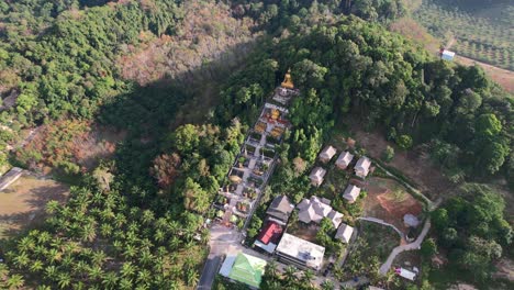drone aéreo de un templo único con un buda dorado en una montaña rodeada de cocoteros en ao nang krabi tailandia