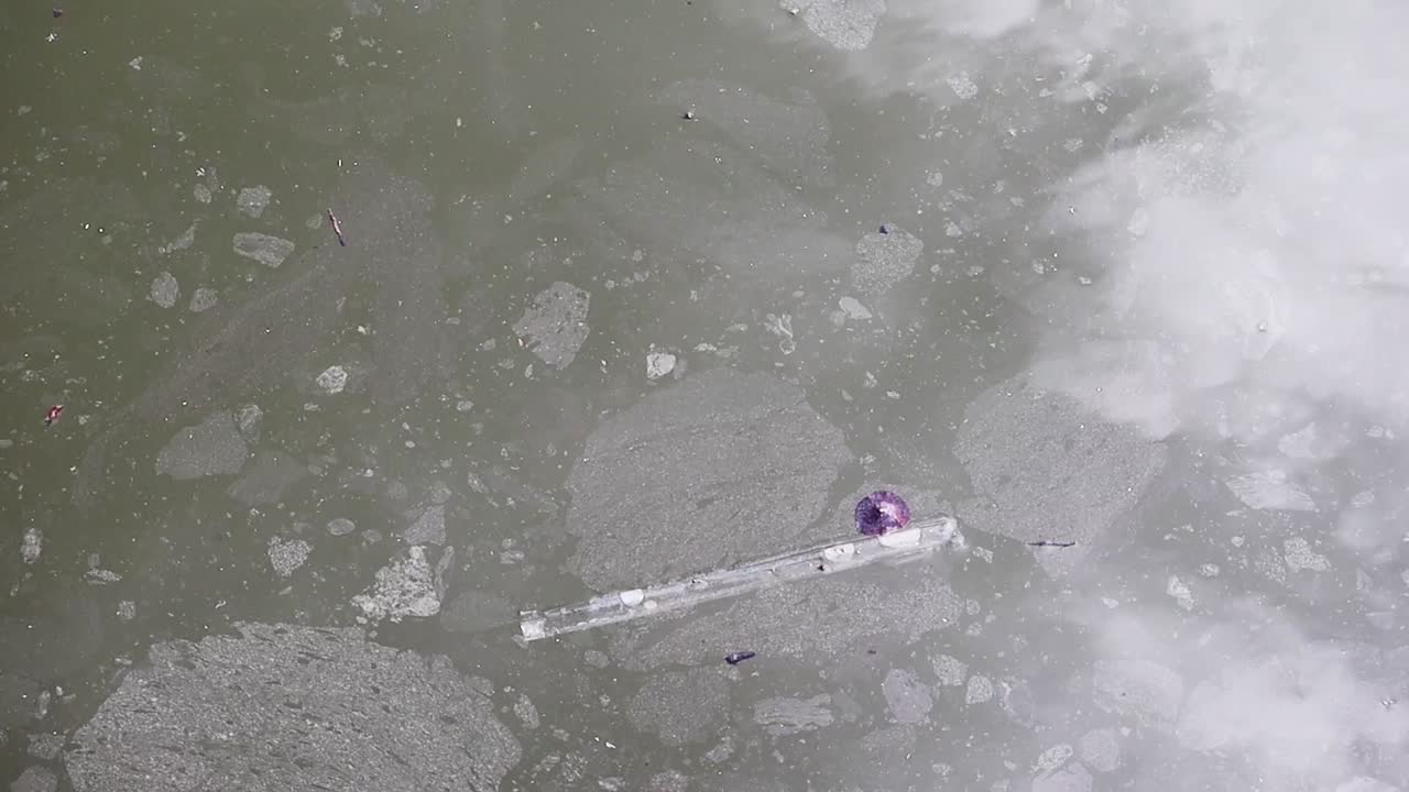 Primer plano del envoltorio de un pajita de plástico tirado que flota en aguas contaminadas