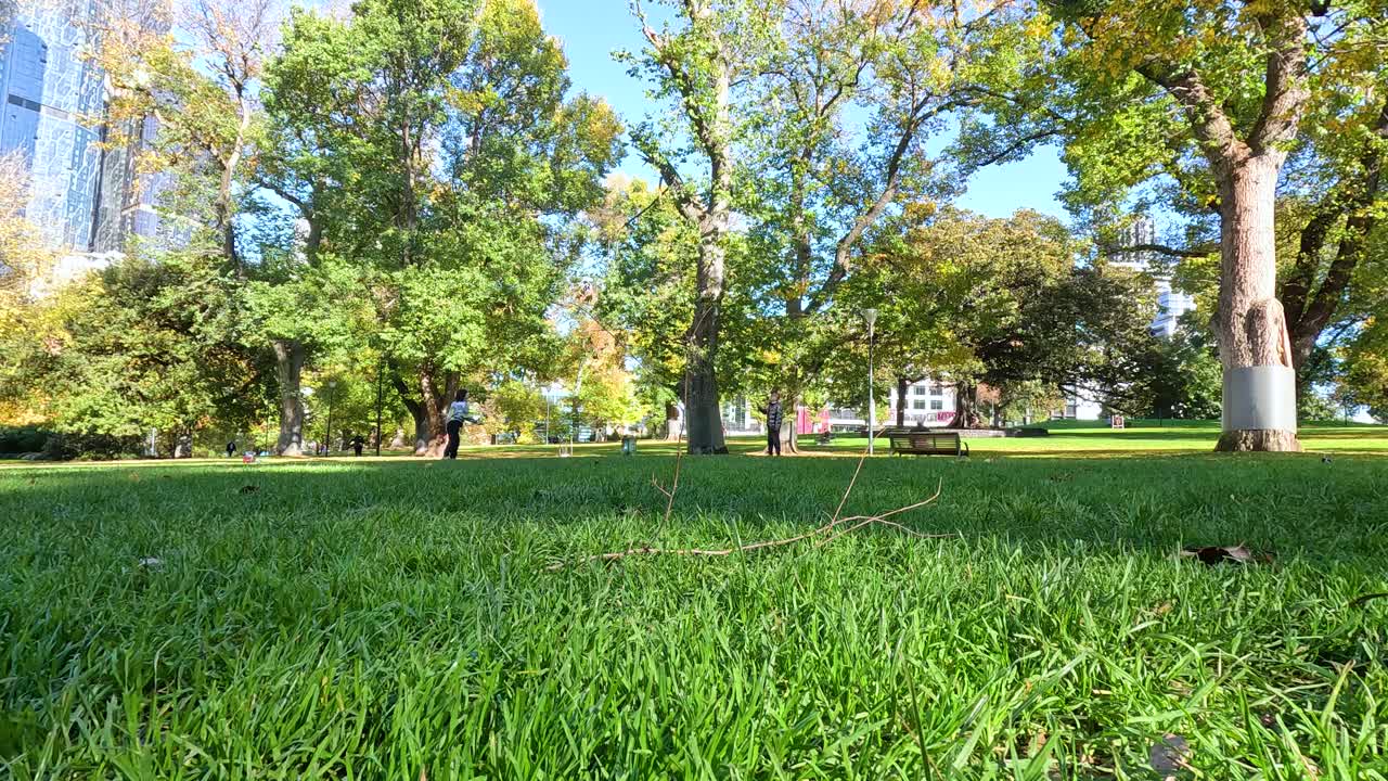 personas jugando al bádminton en un parque