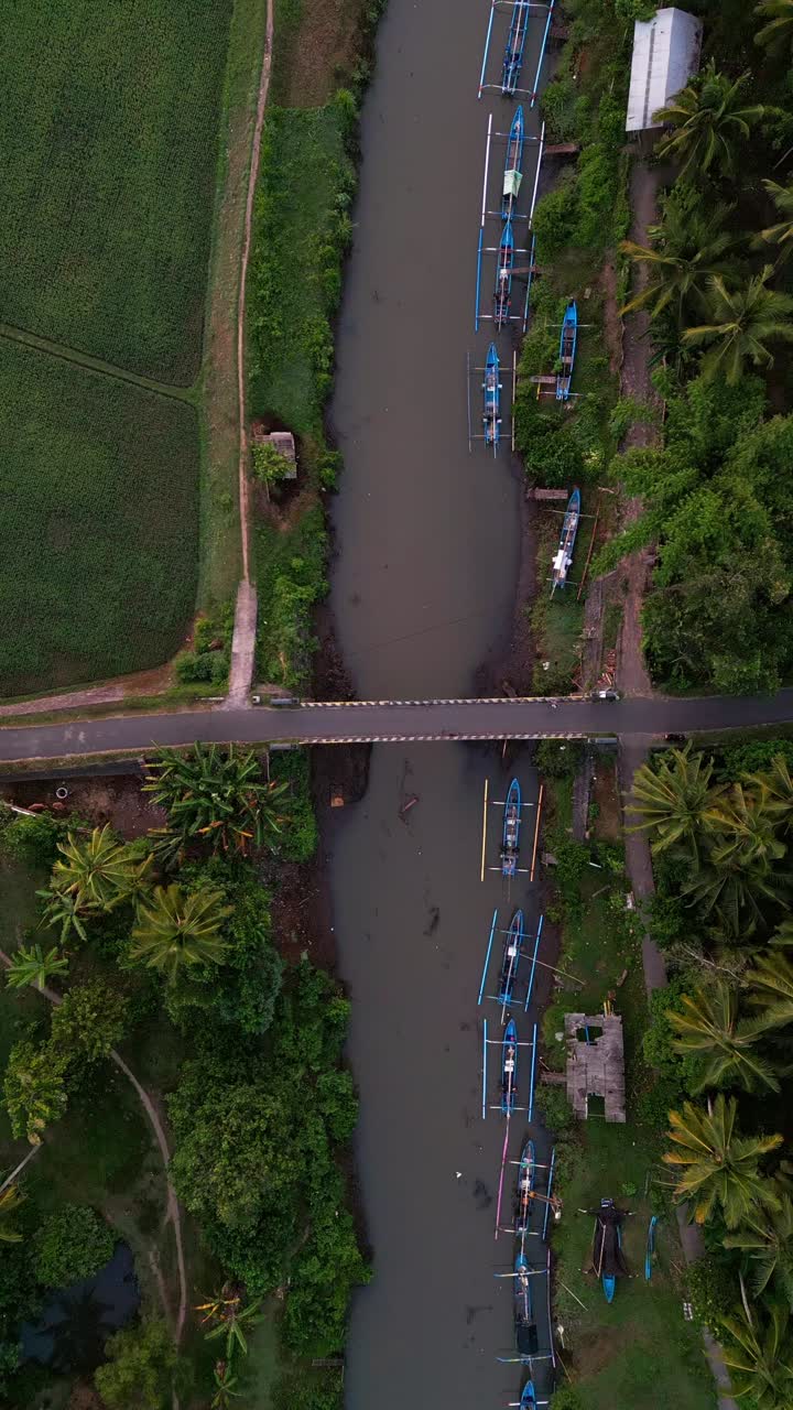 Vertical drone footage of an Indonesian river bathed in warm morning glow, with traditional wooden boats gliding through calm waters surrounded by lush tropical jungle and dense green foliage