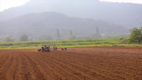 tractor, worker, field, work, agriculture, farming, harvest, crop, nature, landscape, rural, countryside, vehicle, machine, equipment, man, male, person, human, labor, toil, agriculture