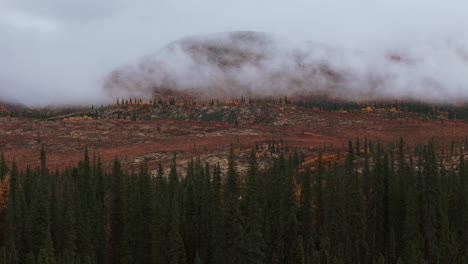 paisaje montañoso brumoso en otoño