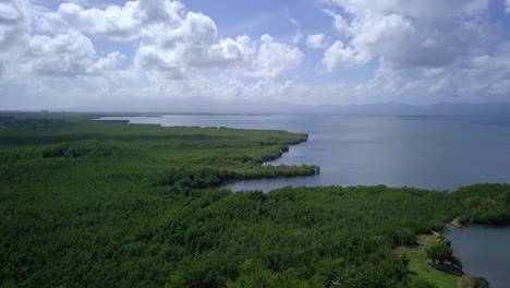 Aerial-view-of-a-green-shoreline