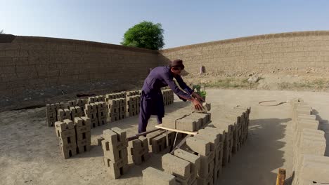 the labor of brick carriers