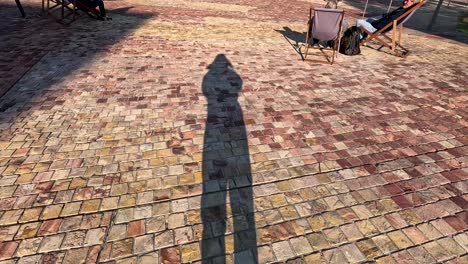 shadows cast on a patterned brick path