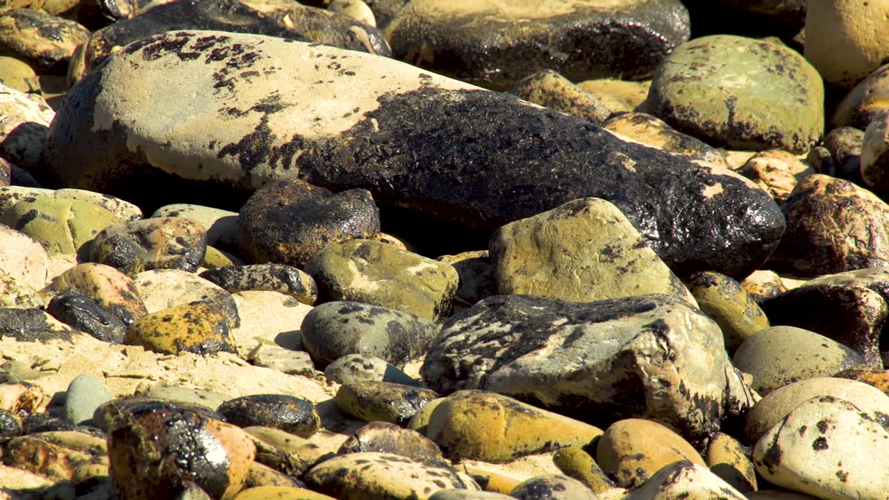 Operai ripuliscono dopo il massiccio sforzo di pulizia della spiaggia a seguito della fuoriuscita di petrolio di Refugio a Santa Barbara 6.