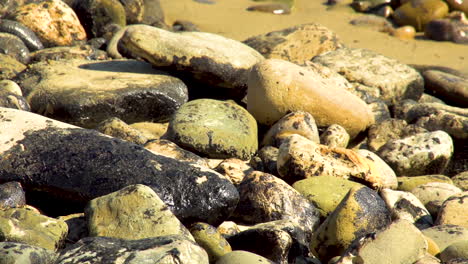 Arbeiter-Säubern-Nach-Den-Massiven-Aufräumarbeiten-Am-Strand-Nach-Der-Ölpest-Im-Refugio-In-Santa-Barbara-6