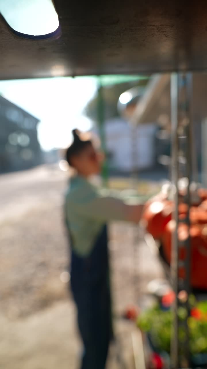 mujer vendiendo calabazas en un puesto junto a la carretera