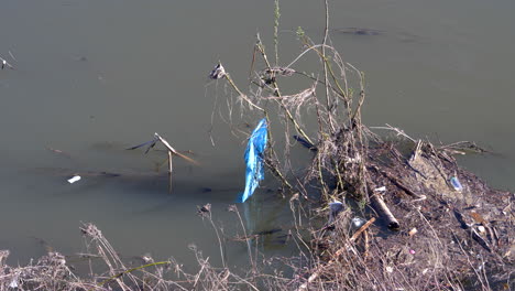 contaminación del río, desechos plásticos, desastre ecológico