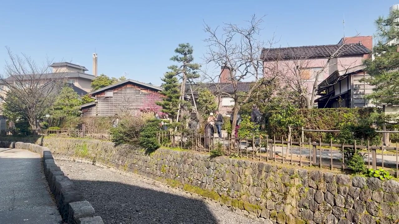 Geleneksel mimari ve bahçelere sahip tarihi bir Japon mahallesinde yürüyen turistlerin geniş çekimi.