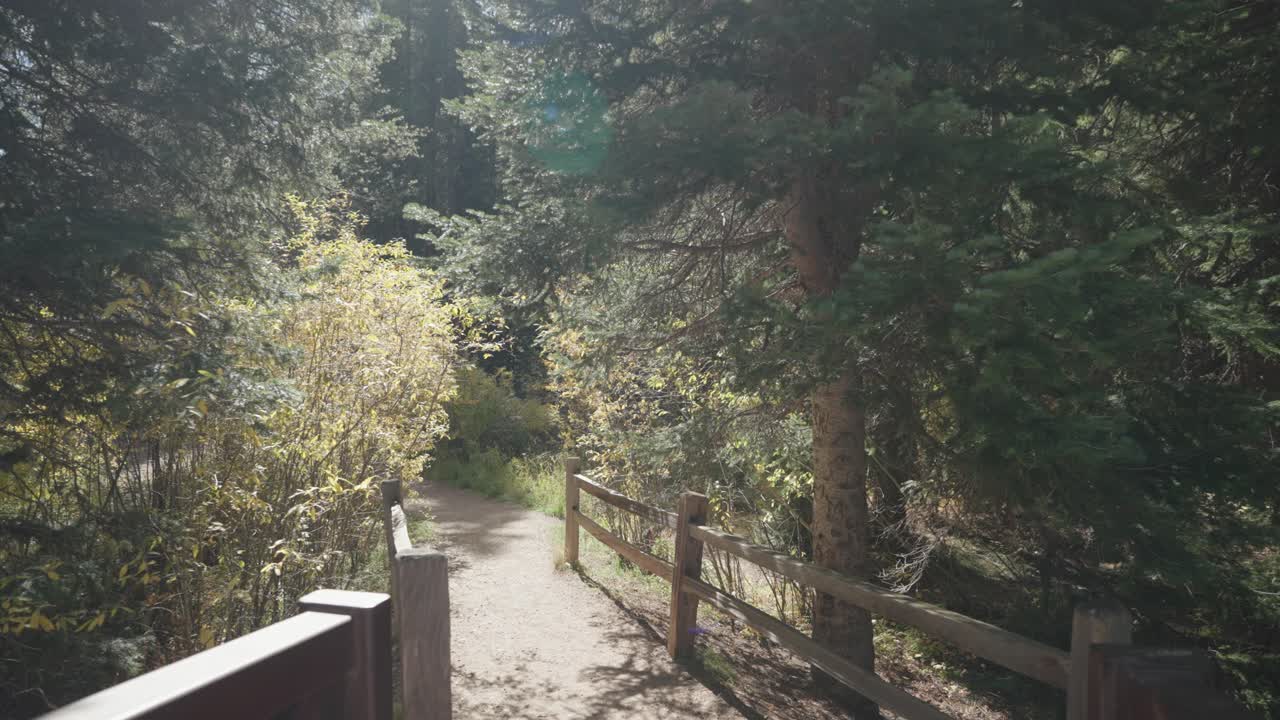 숲을 통과하는 경로