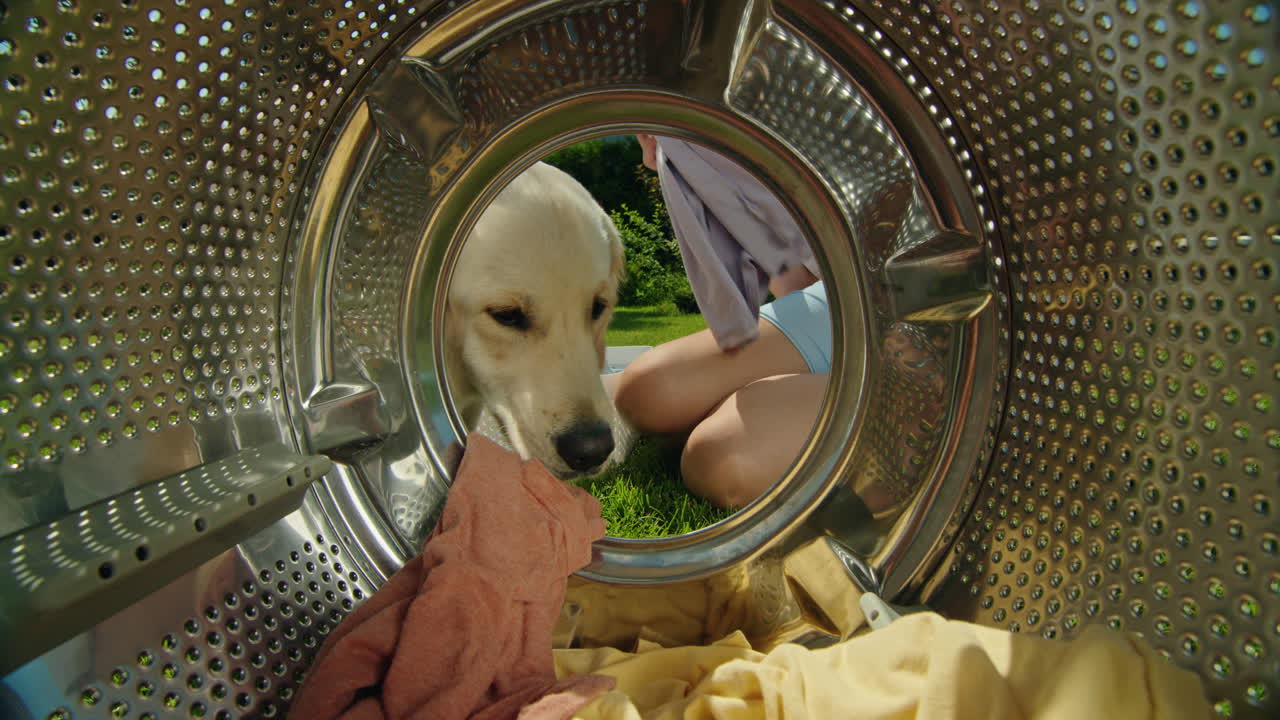 el día en que el perro vigila el lavado.