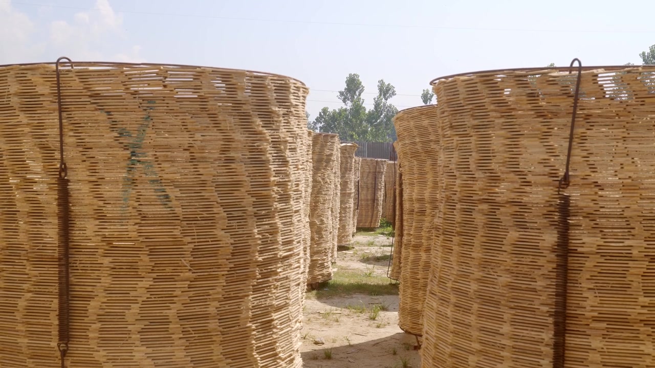 Listelli di legno per matite durante l'essiccazione al sole nel famoso villaggio delle matite di Pulwama, nel Kashmir meridionale, India. Inquadratura fissa