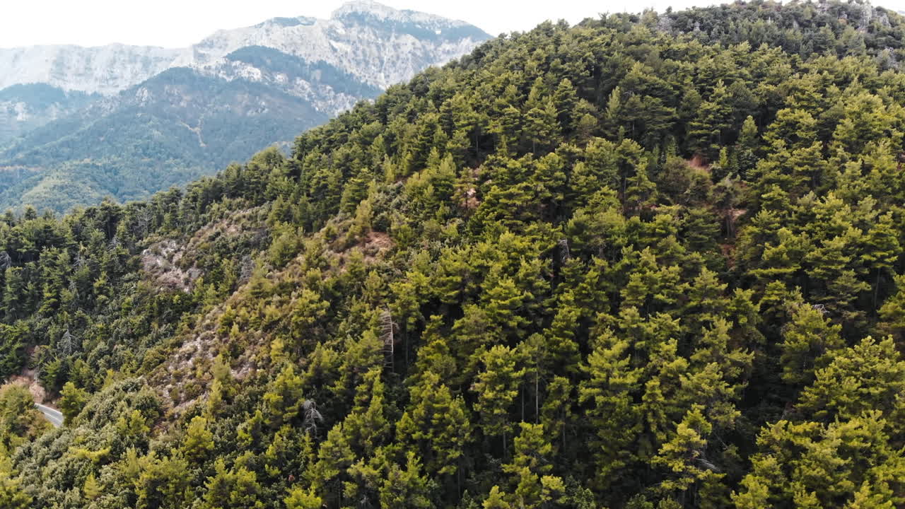 A hill covered with lush greenery, trees and bushes, Thassos, Greece