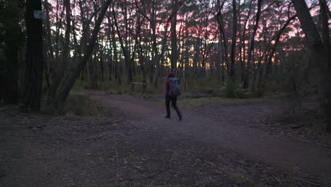 Niña-Indígena-Australiana-Caminando-Por-Un-Sendero-De-Tierra-A-Través-Del-Arbusto-Australiano-Durante-El-Amanecer