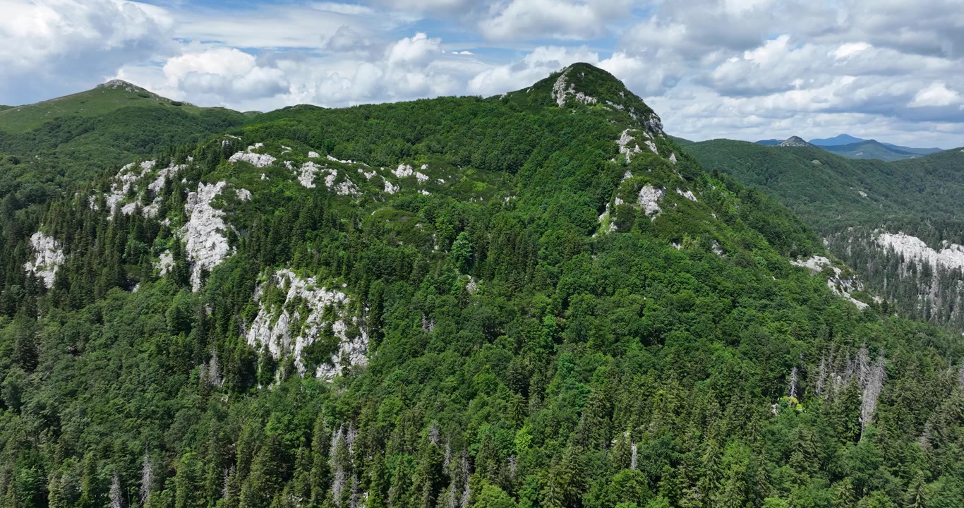 Karu vuori tiheiden puiden peittämänä Gorski Kotarissa Kroatiassa. Dronekuva.