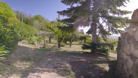 lenta creación de tiros de grandes árboles que crecen en un jardín en el campo francés