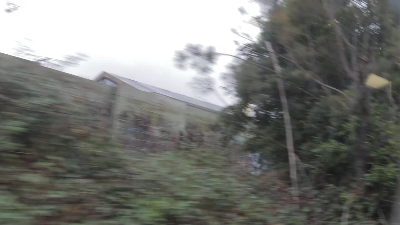 el canal del refugio para el tren ahora está cubierto de arbustos y arbustos verdes mientras miras por la ventana