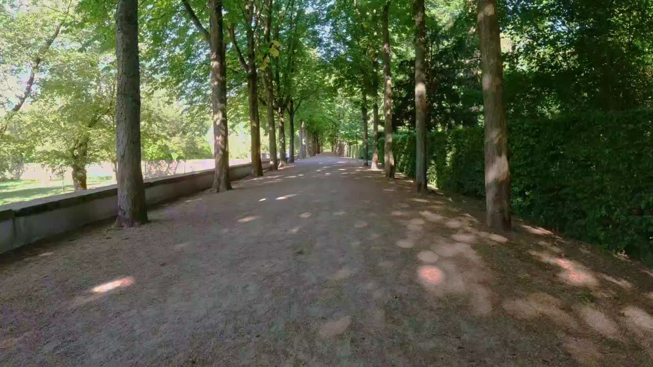 Hyperlapse of dirt path with tall trees lining the edges, Germany.