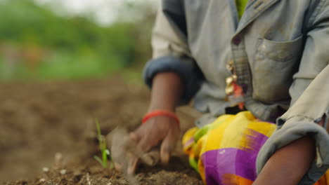 planting crops in rural farmland