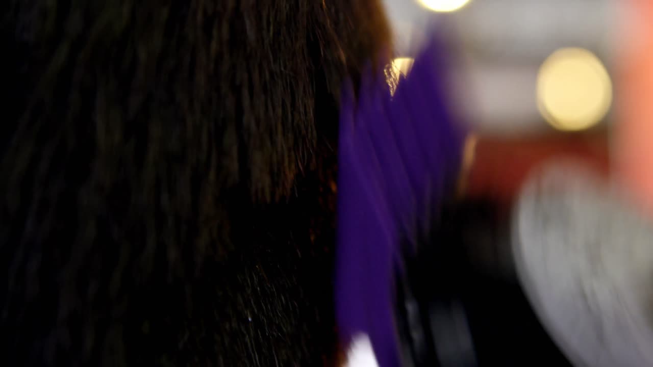 Man getting his hair trimmed with trimmer 4k