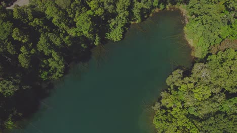 Aguas-Tranquilas-Y-Selva-Tropical-En-El-Lago-Eacham,-Atherton-Tableland,-Queensland,-Australia---Vista-Aérea-De-Arriba-Hacia-Abajo