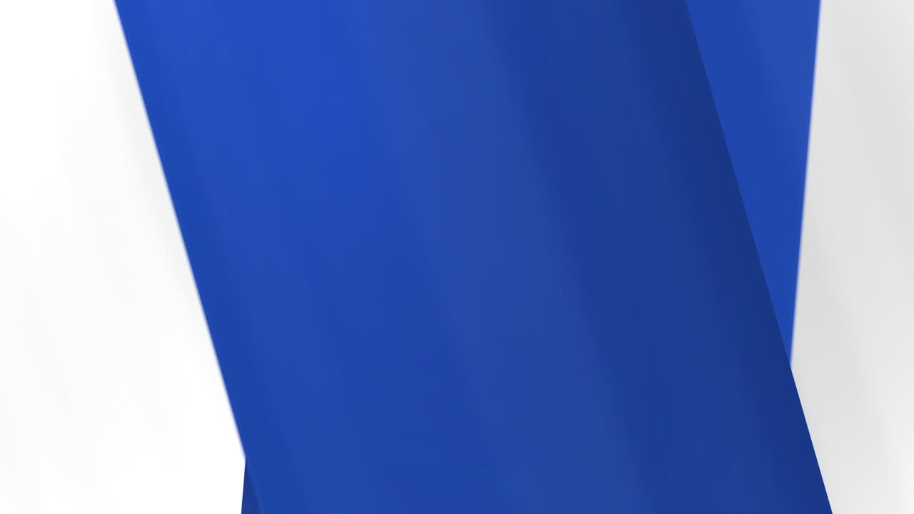 Animation of american flag elements over diverse audience, singer and musicians performing