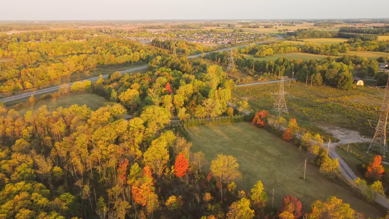 Aerial Drone Clip of Autumn Colours at Sunrise in Ontario