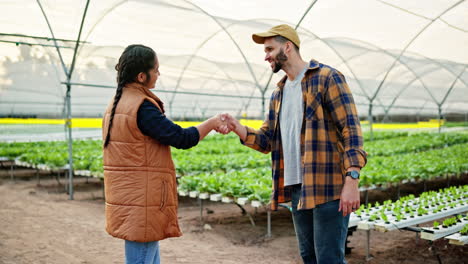 farmers shaking hands in greenhouse