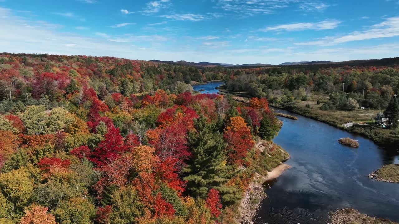 árboles coloridos en el bosque del río durante el día soleado de la temporada de otoño