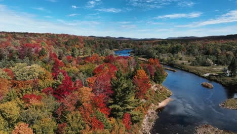 colorful trees in river forest during sunny day of autumn season