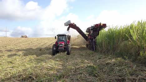 tractor y cosechadora moviéndose en sincronía, cosechando caña de azúcar