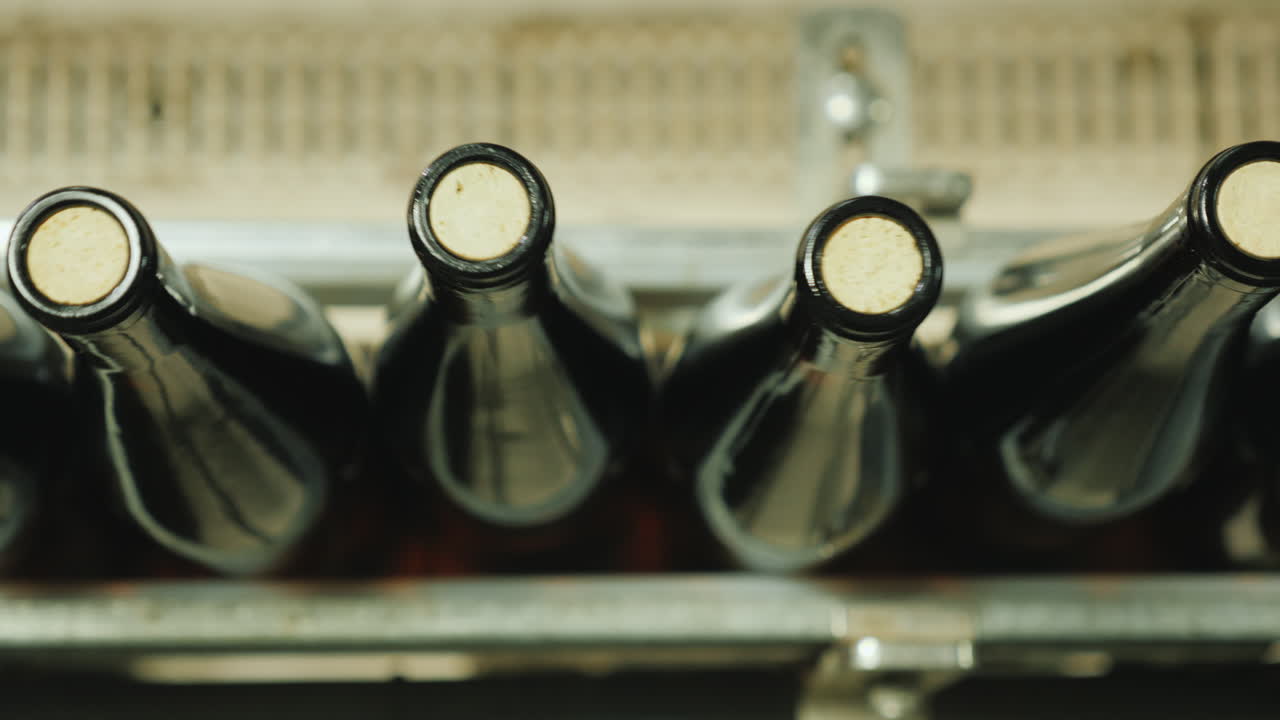 코르크 스토퍼로 닫힌 와인 병은 위에서 컨베이어 벨트 보기를 따라 이동합니다.