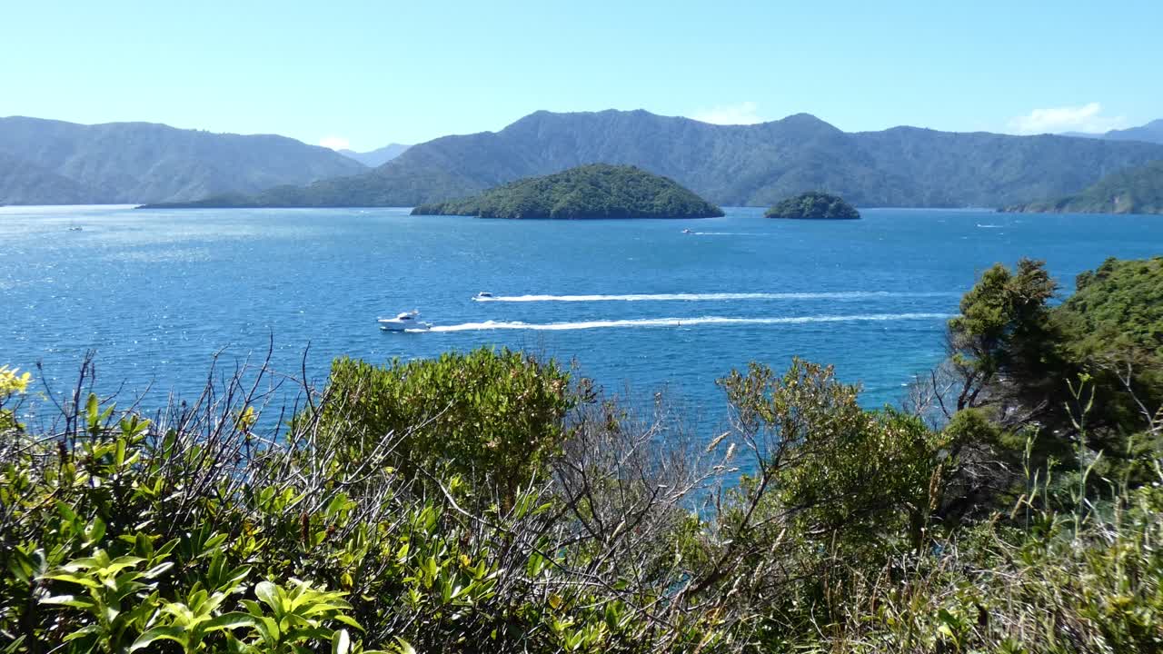 Activité nautique sur une magnifique mer d'un bleu profond en été - Karaka Point, Détroit de Queen Charlotte