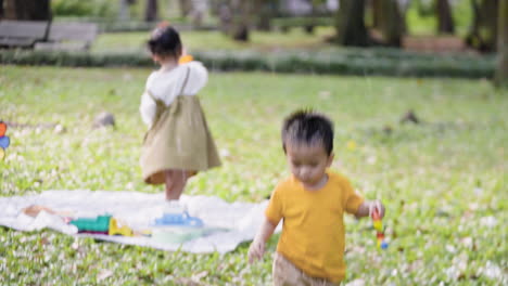 kids playing at the park