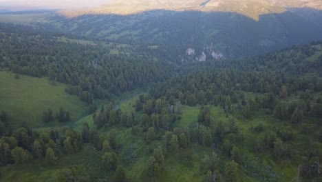 mountainous forest landscape