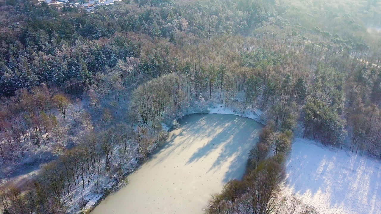 lago congelado con árboles densos en la soleada temporada de invierno cerca del bosque rural